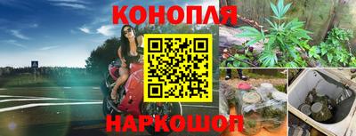 прущие грибы Чапаевск