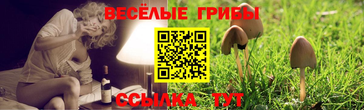 Псилоцибиновые грибы мухоморы Дмитров